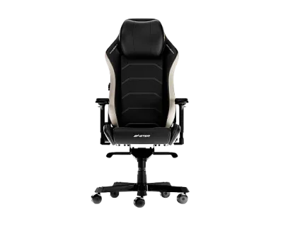 DXRacer White and Black Master Chair